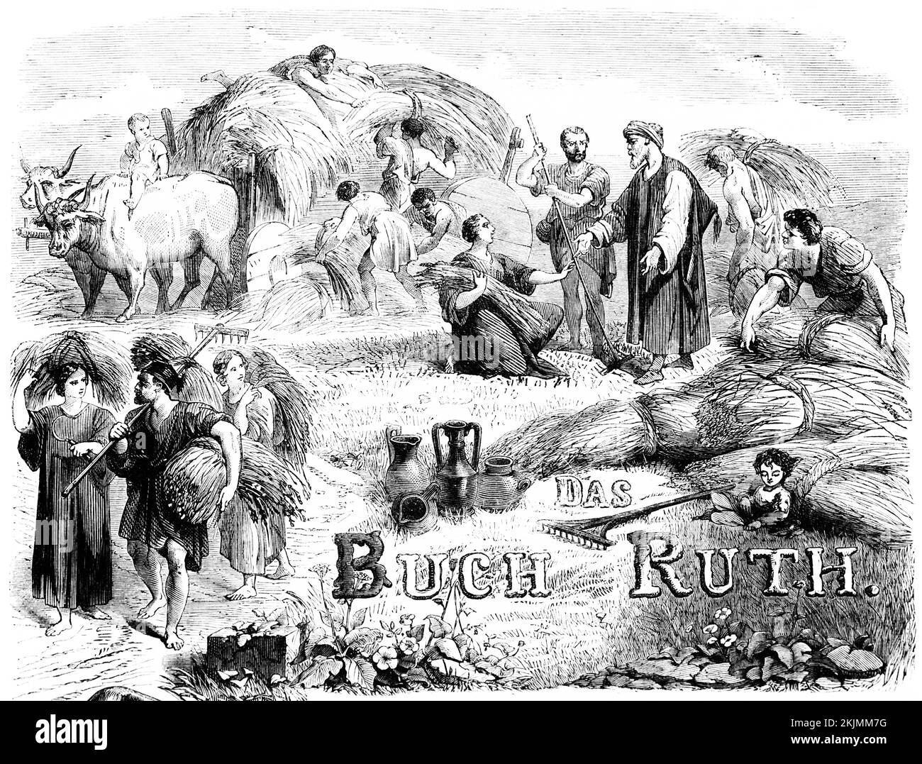 Copra, agricoltura, grano, raccolto, carretto di bue, taglio, cravatta, orecchie, uomini, donna, Aiutanti, lavoro, all'aperto, Bibbia, Antico Testamento, Il Libro di Ruth, storico il Foto Stock