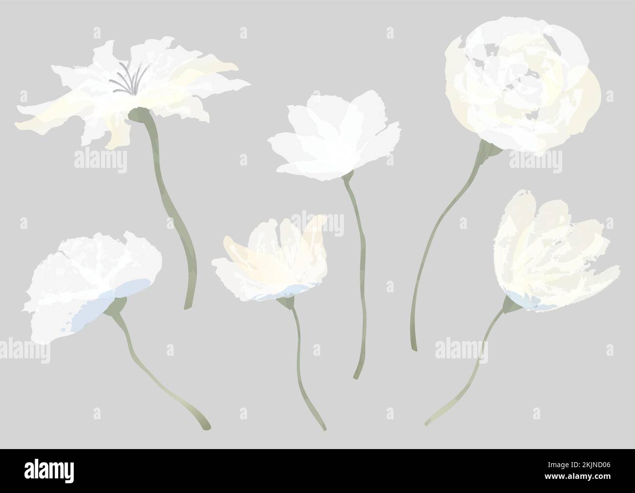 Set di fiori acquerelli isolati su sfondo bianco. Illustrazione vettoriale. Illustrazione Vettoriale