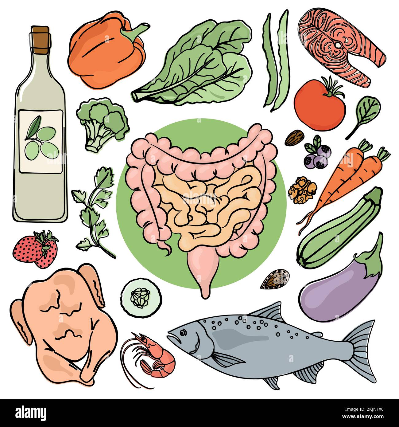 TRATTO GASTROINTESTINALE SALUTE Medicina Istruzione Nutrizione umana Vector Illustrazione Dieta Set Illustrazione Vettoriale