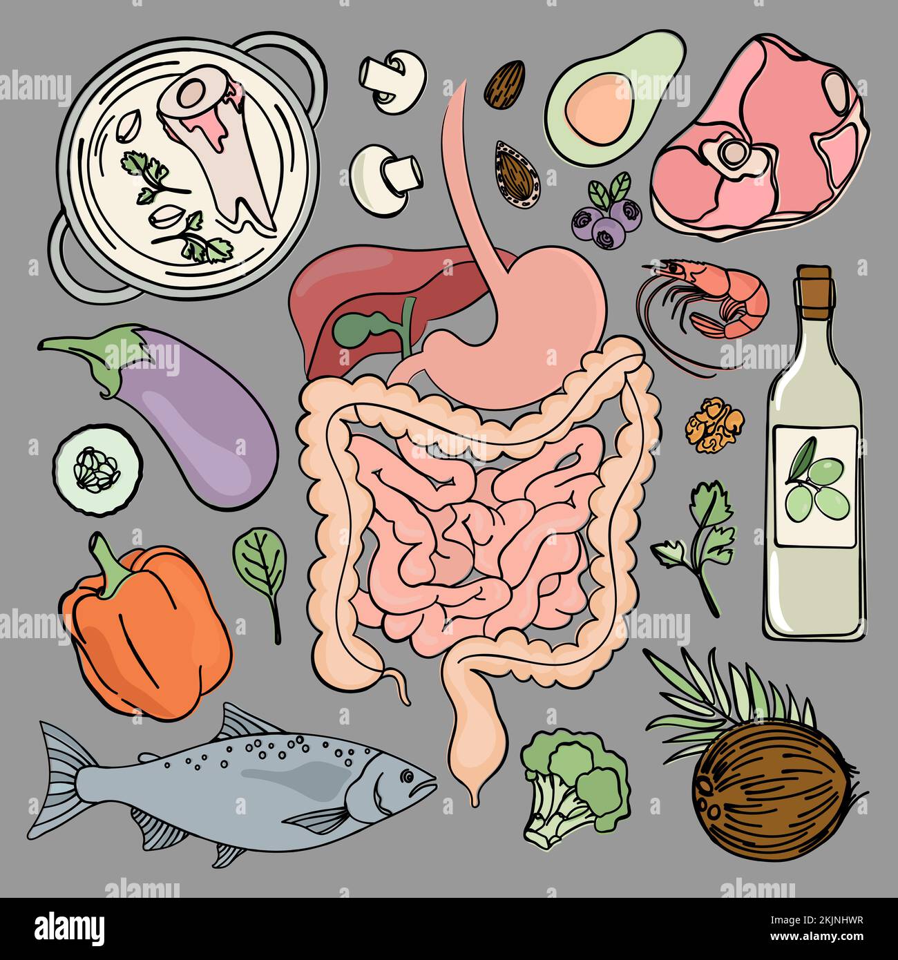 SALUTE GASTROINTESTINALE Medicina Educazione Nutrizione umana Vector Illustrazione Dieta Set Illustrazione Vettoriale