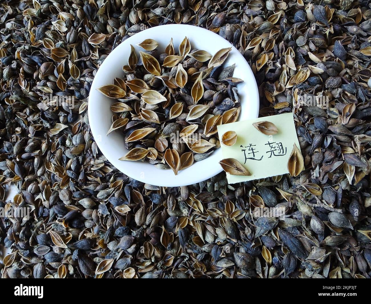 YICHANG, CINA - 25 NOVEMBRE 2022 - il isatidis cinese della medicina di erbe è visto in Yichang, provincia di Hubei, Cina, 25 novembre 2022. In base ai supporti Foto Stock