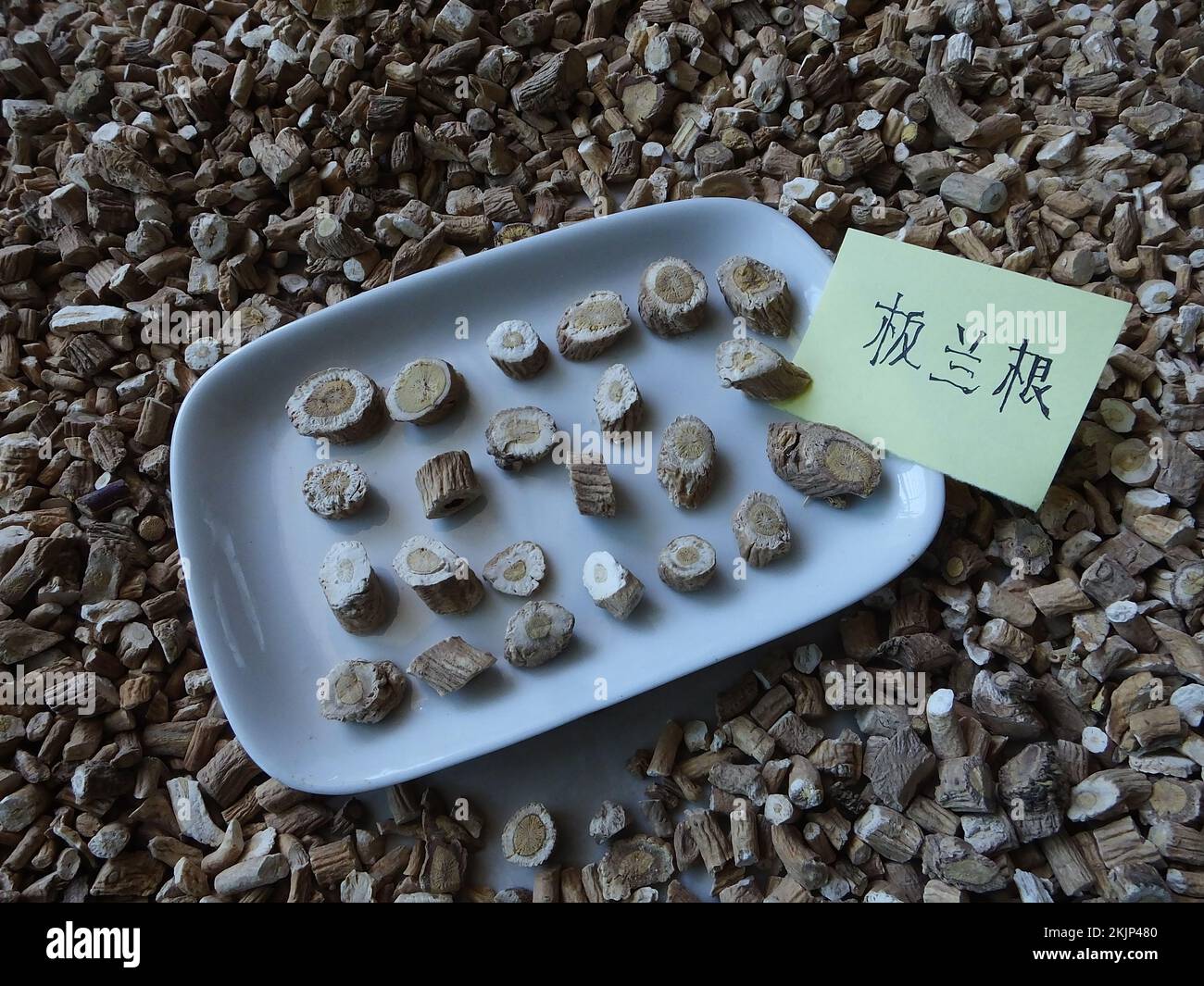 YICHANG, CINA - 25 NOVEMBRE 2022 - il isatidis cinese della medicina di erbe è visto in Yichang, provincia di Hubei, Cina, 25 novembre 2022. In base ai supporti Foto Stock