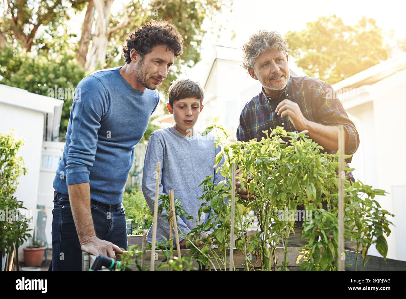 Gli uomini della famiglia amano il giardinaggio. Un giovane ragazzo che fa giardinaggio con suo padre e suo nonno. Foto Stock