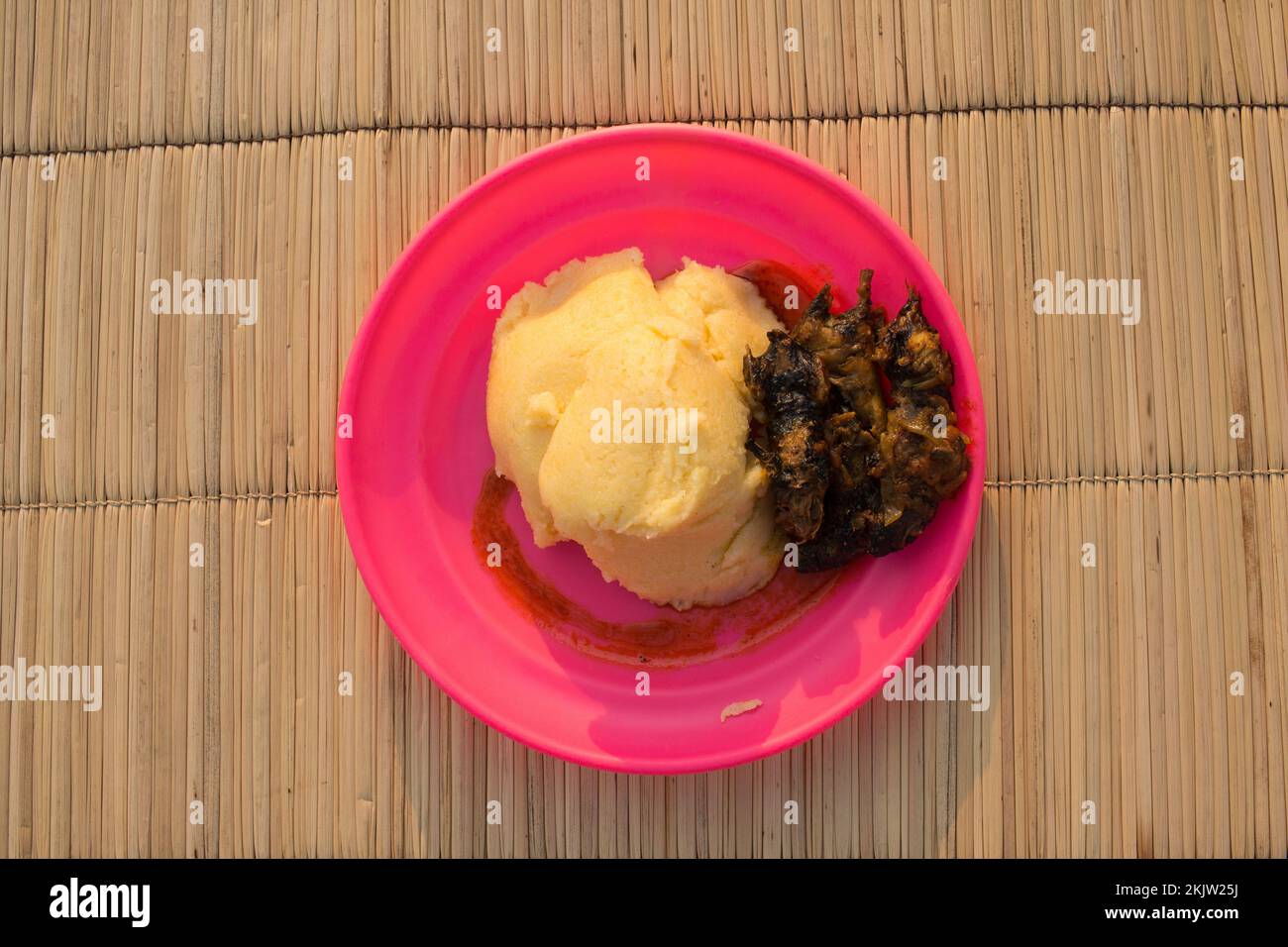 Stufato di ratto con ugali, un piatto esotico ma gustoso Foto Stock