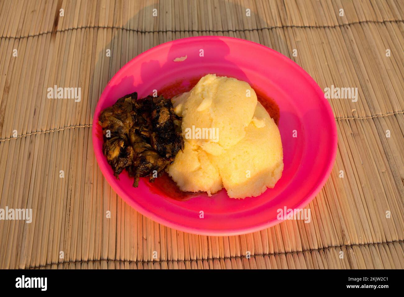 Stufato di ratto con ugali, un piatto esotico ma gustoso Foto Stock