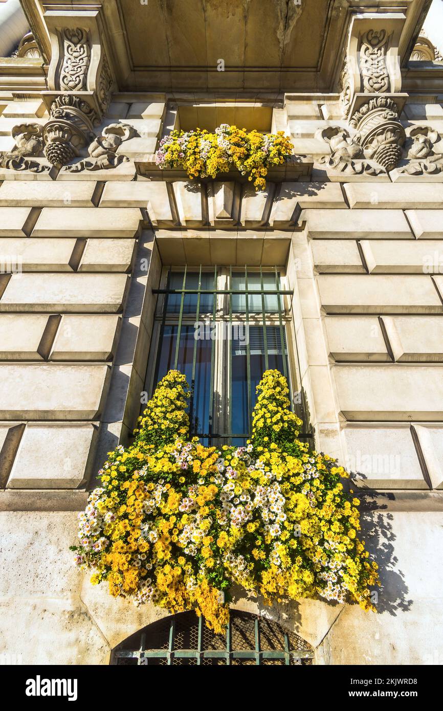 Di fronte all'Hotel de Ville (municipio) decorato con finestre traboccanti - Tours, Indre-et-Loire (37), Francia. Foto Stock