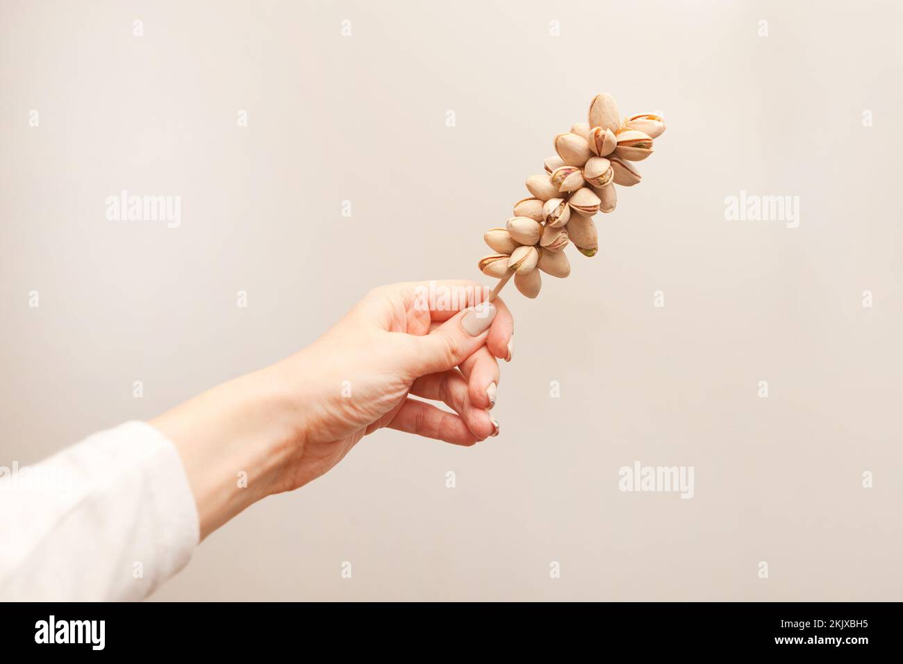 bastone con pistacchi. donna che tiene uno spuntino decorato sulla canna. sfondo grigio. Foto Stock