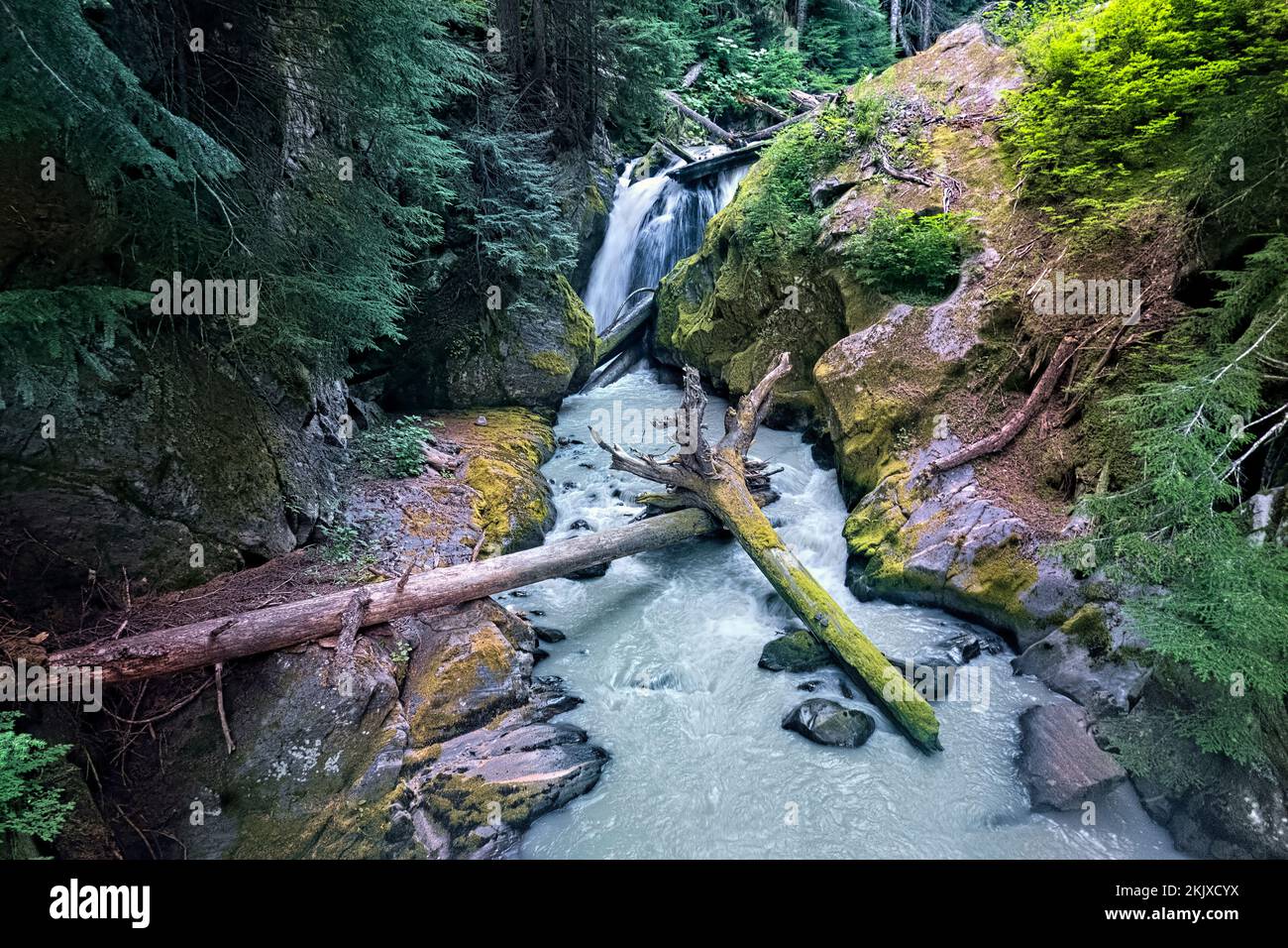 Torrente fluente nel Parco Nazionale delle Cascate del Nord, Pacific Crest Trail, Washington, Stati Uniti Foto Stock