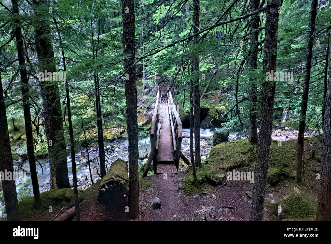Ponte di legno su Agnes Creek nelle North Cascades, Pacific Crest Trail, Washington, USA Foto Stock