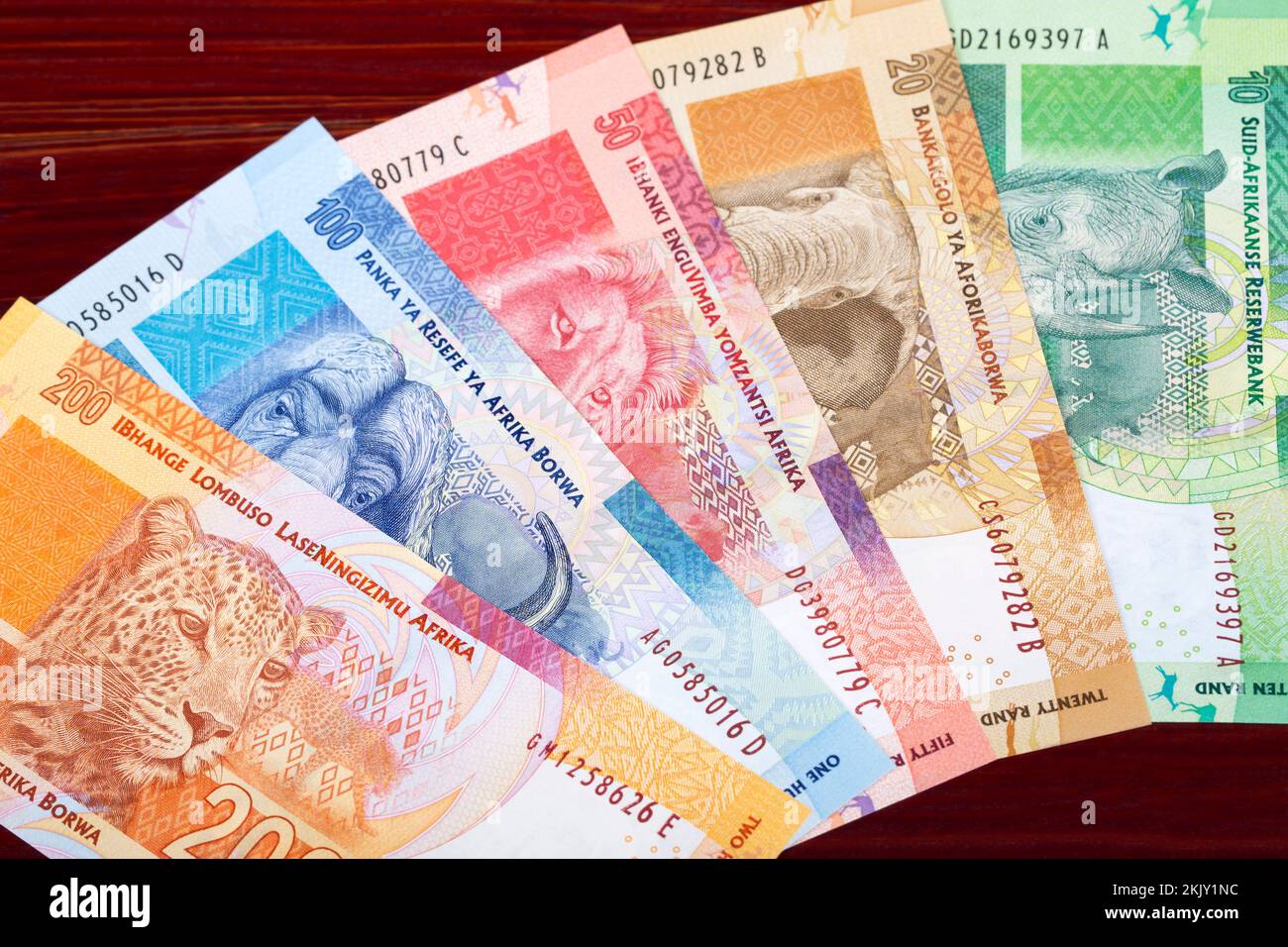 South African soldi un background aziendale Foto Stock