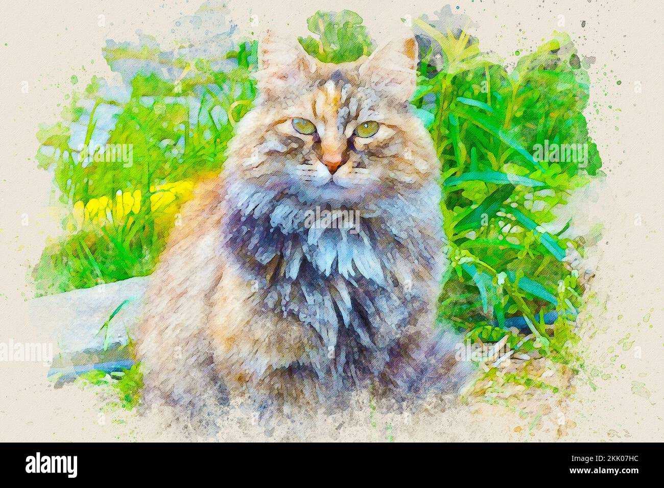 Acquerello pittura effetto schizzo di un ritratto britannico Longhair Cat in natura. Foto Stock