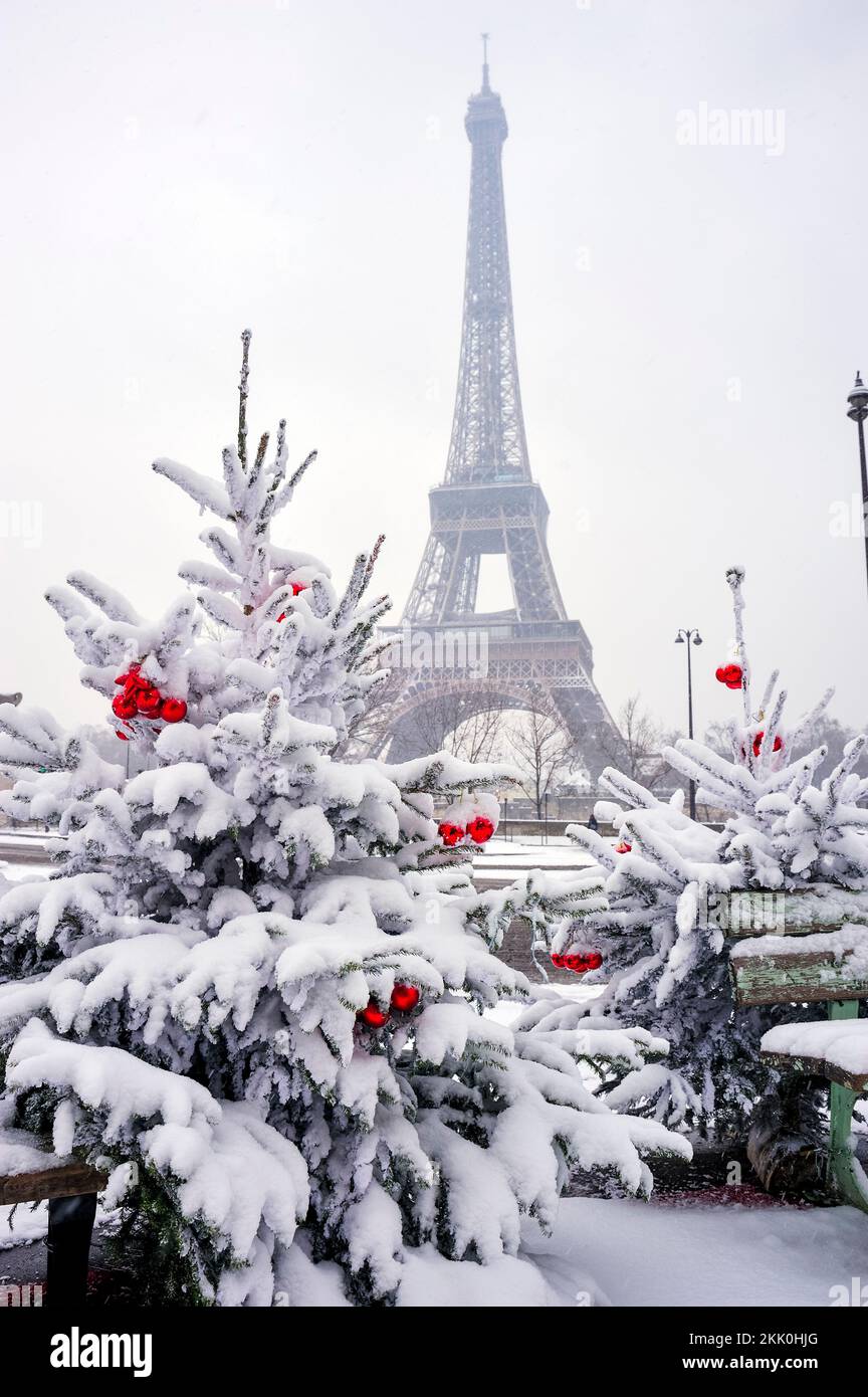 Parigi, Francia, tempesta della neve d'inverno, Torre Eiffel con alberi di Natale, Parco Urbano Scenic Foto Stock