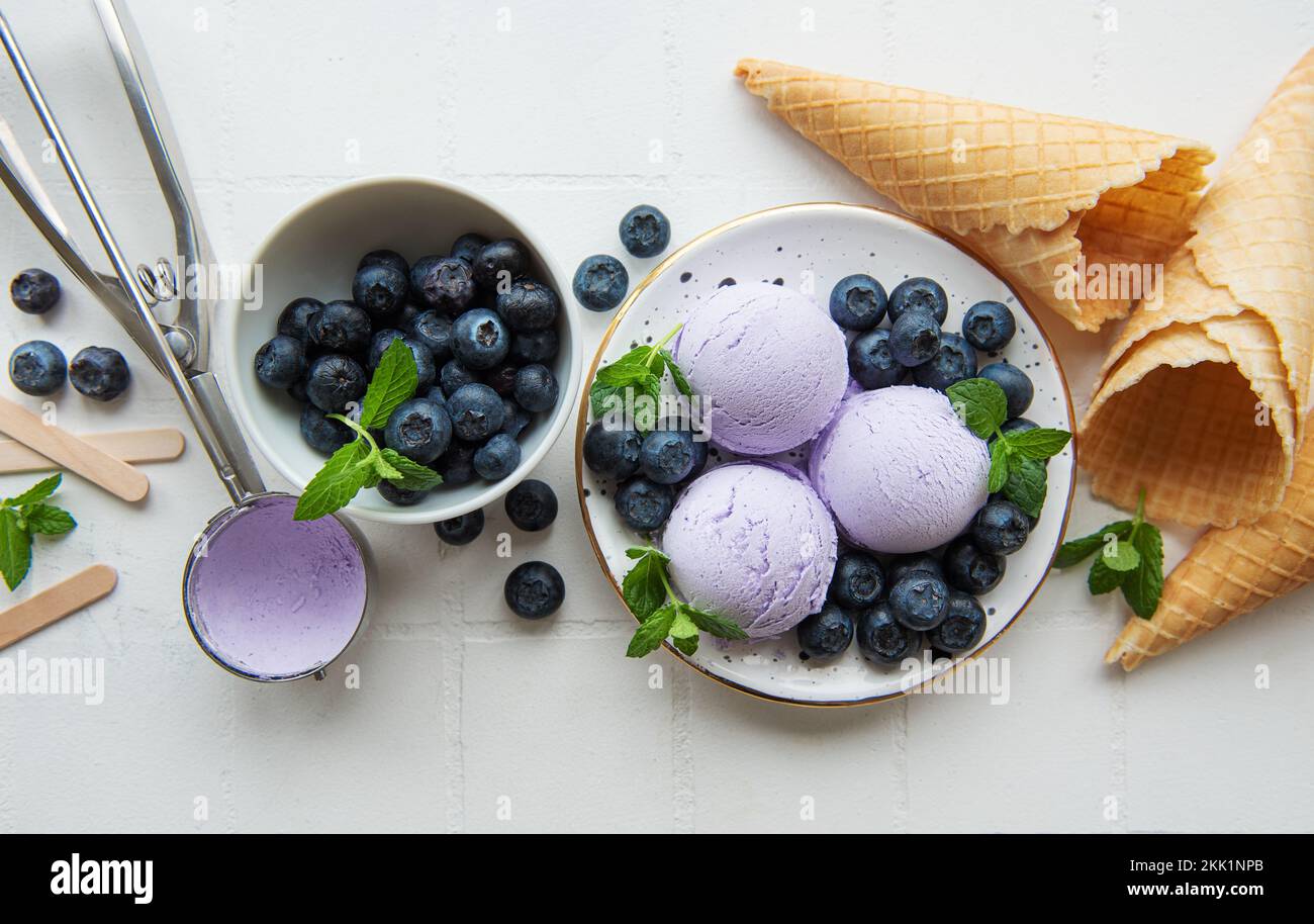 Gelato artigianale ai mirtilli con mirtilli freschi. Dolce estivo di frutti di bosco. Foto Stock