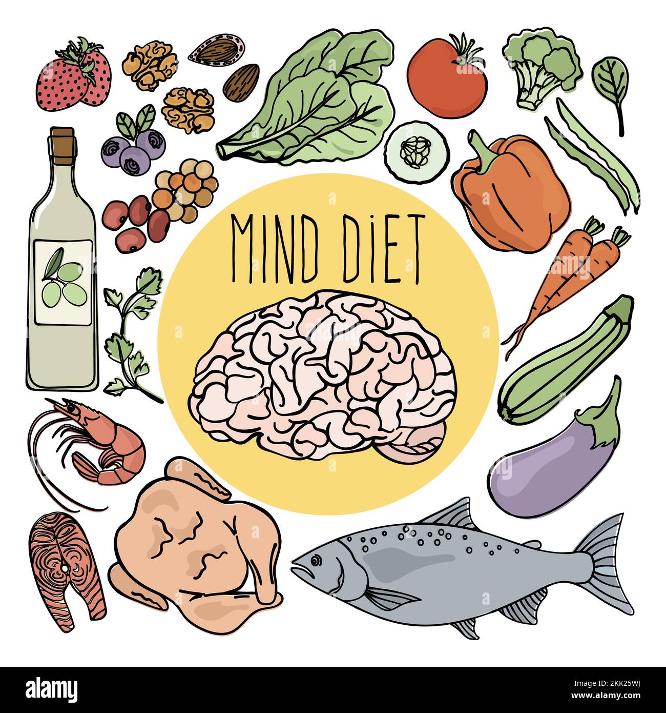 Cervello sano mente la dieta prevenire demenza Altzheimer cibo organico di nutrizione adeguata illustrazione vettoriale impostato per la medicina Illustrazione Vettoriale