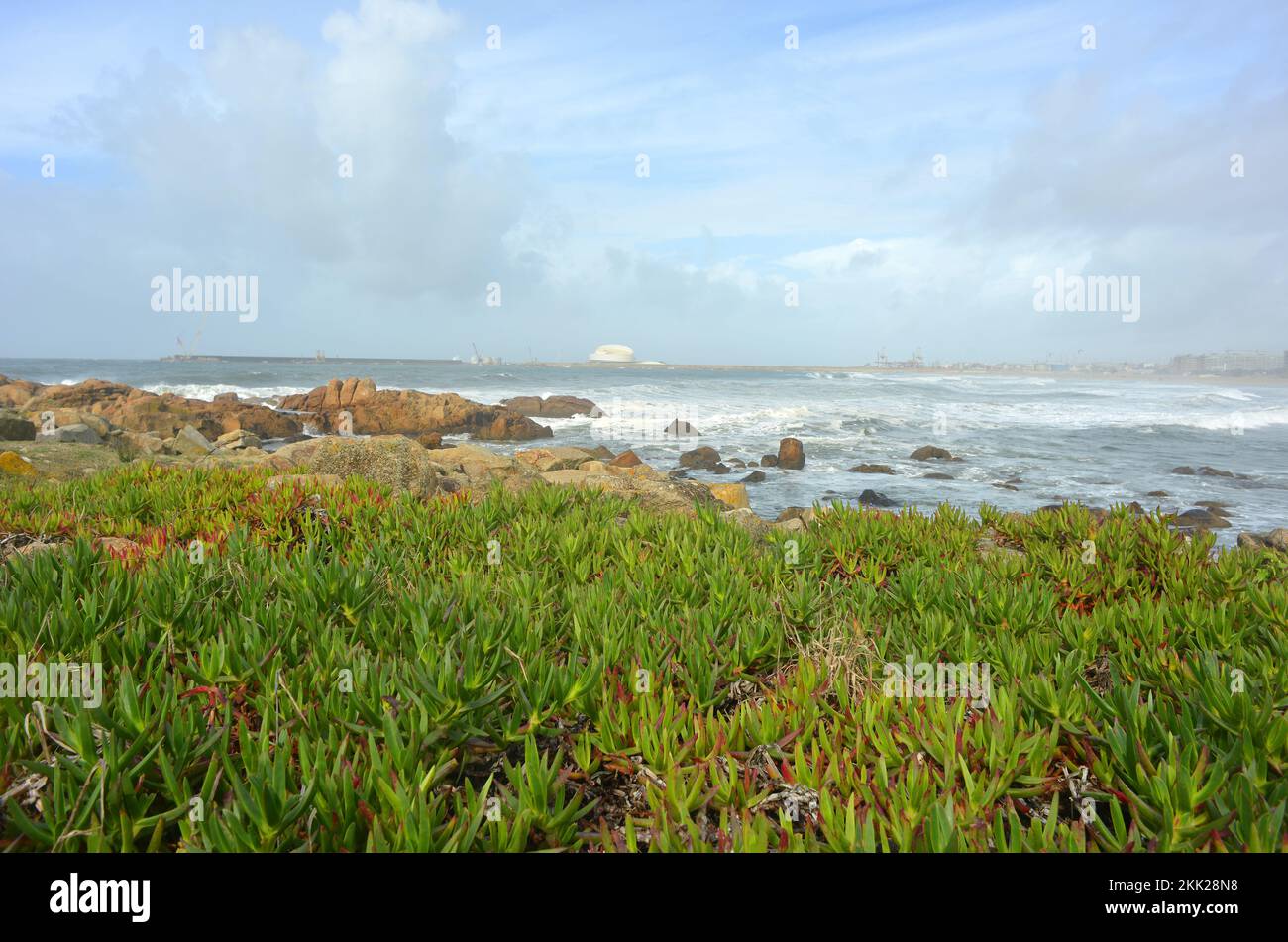 Vista sulla costa fino al porto di Matosinhos a Porto, Portogallo Foto Stock