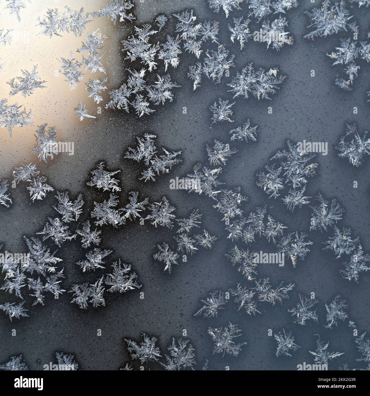 Cristalli di ghiaccio sulla superficie di un bicchiere congelato durante una fredda giornata invernale intorno a Natale in Finlandia. Bella stagione di vacanza closeup texture immagine. Foto Stock