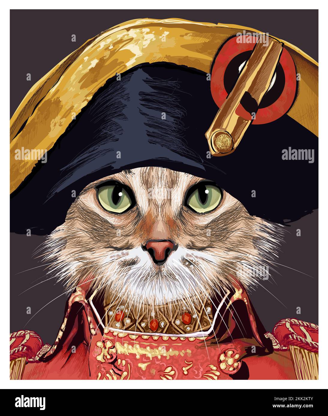 Ritratto di un gatto divertente con un cappello di Napoleone - illustrazione vettoriale - perfetto per l'interior design, decorazione di pagina, web e altro: Illustrazione Vettoriale