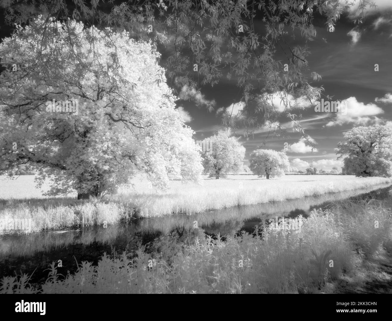 Il Bridgwater e il canale Taunton nella campagna di Creech St Michael, Somerset, Inghilterra. Foto Stock