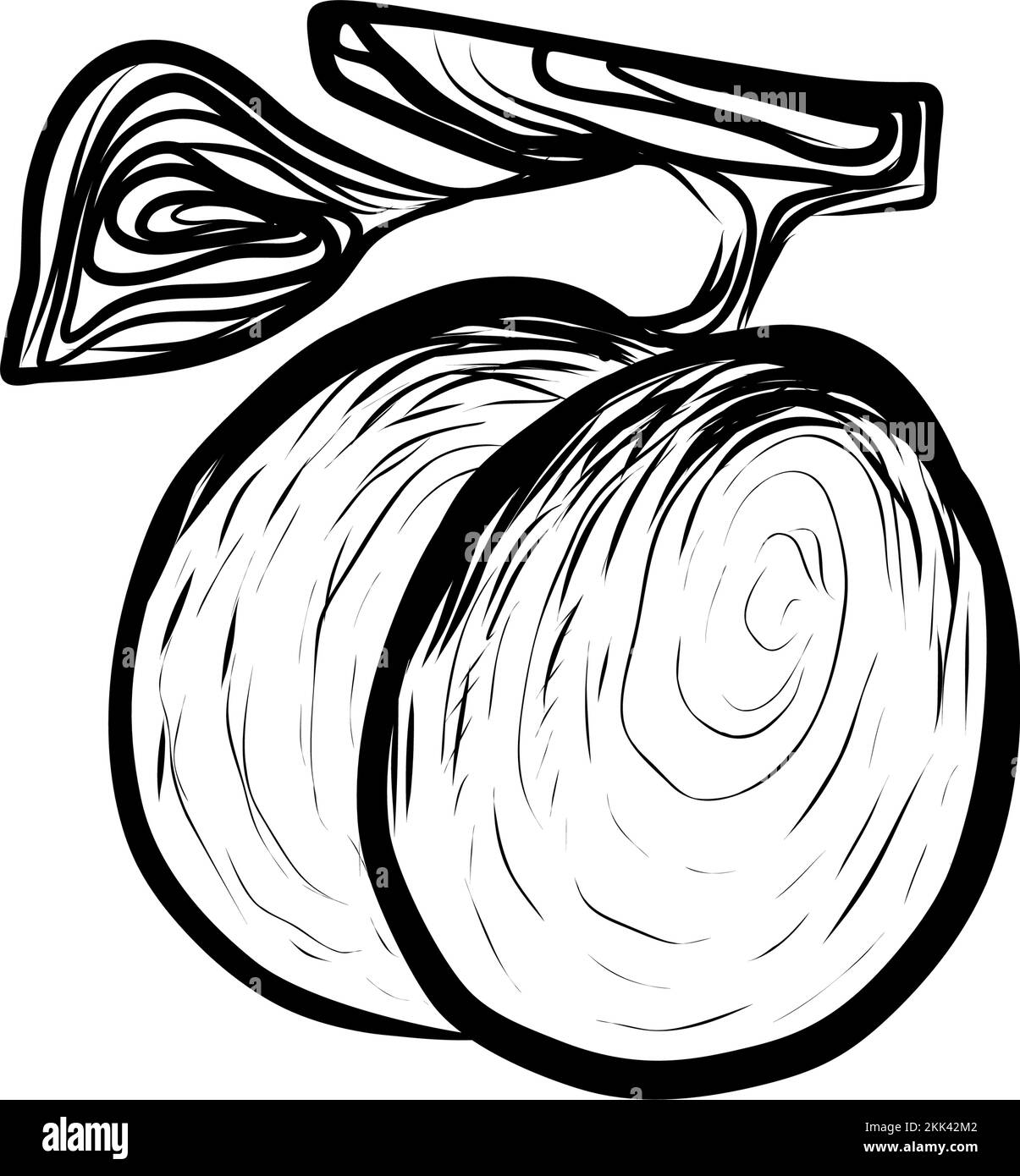 Disegno Illustrazione di susine fresche di Sappy fecondo. Icona disegnata a mano su sfondo bianco Illustrazione Vettoriale