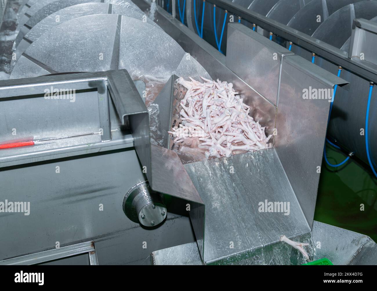 Le polpette di pollo vengono caricate dal serbatoio del refrigeratore dopo aver ridotto la temperatura e aver pulito la linea di processo. Foto Stock