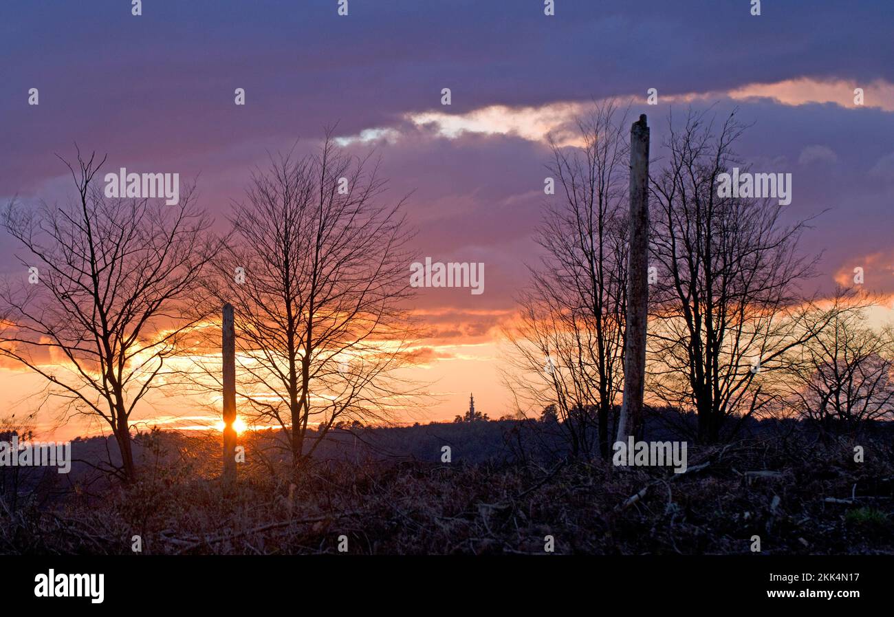 Tramonto in primavera sul Castello anello Cannock Chase Area di eccezionale bellezza naturale Staffordshire Foto Stock