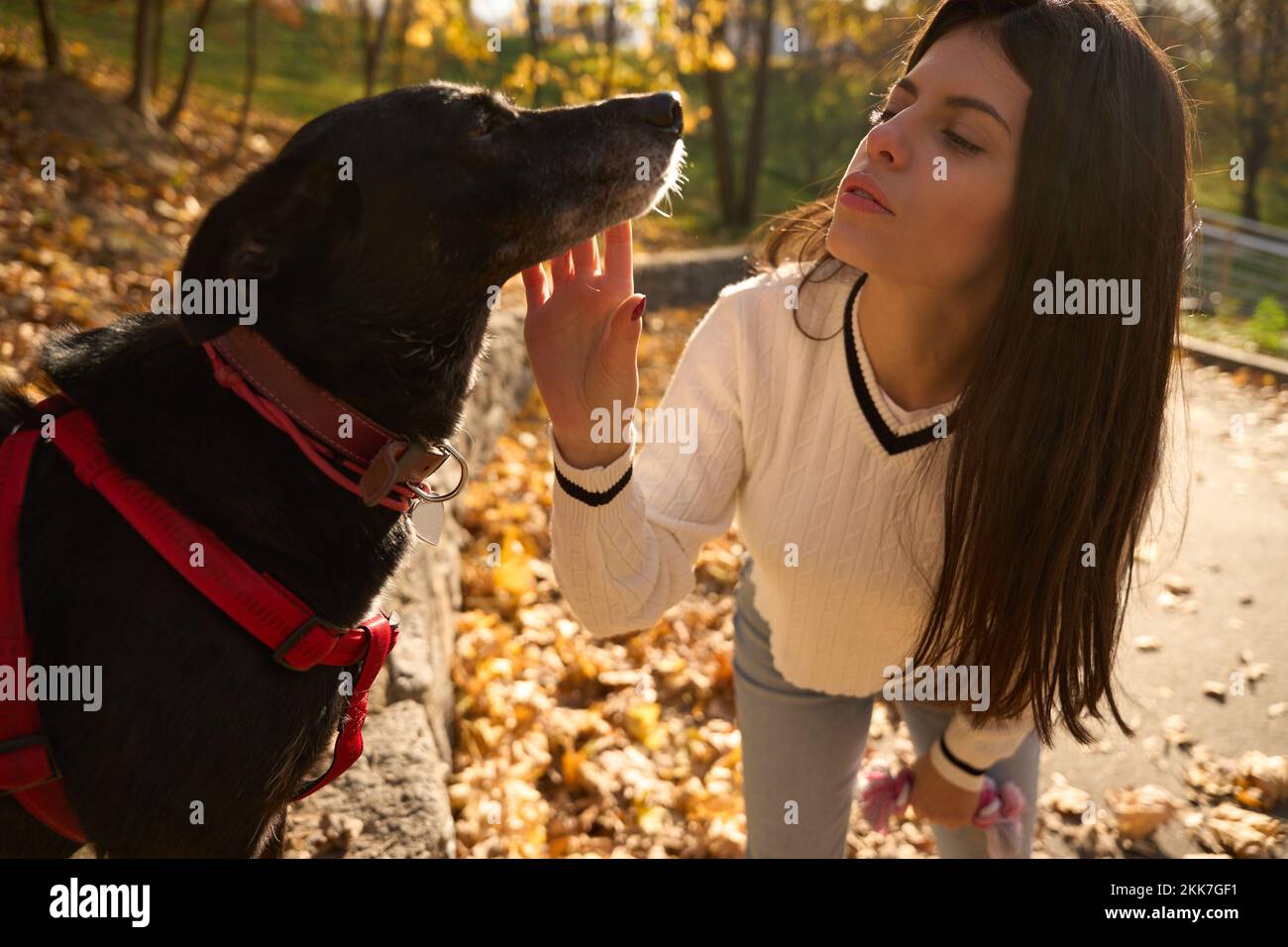 Carina giovane donna nel parco comunica con un cane nero Foto Stock