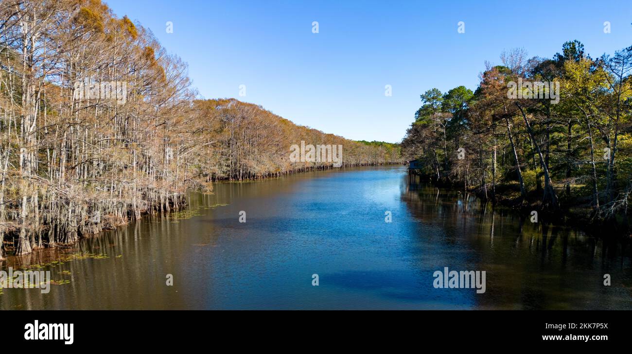 Big Cypress Bayou River al lago Caddo - vista aerea - fotografia di viaggio dall'alto Foto Stock