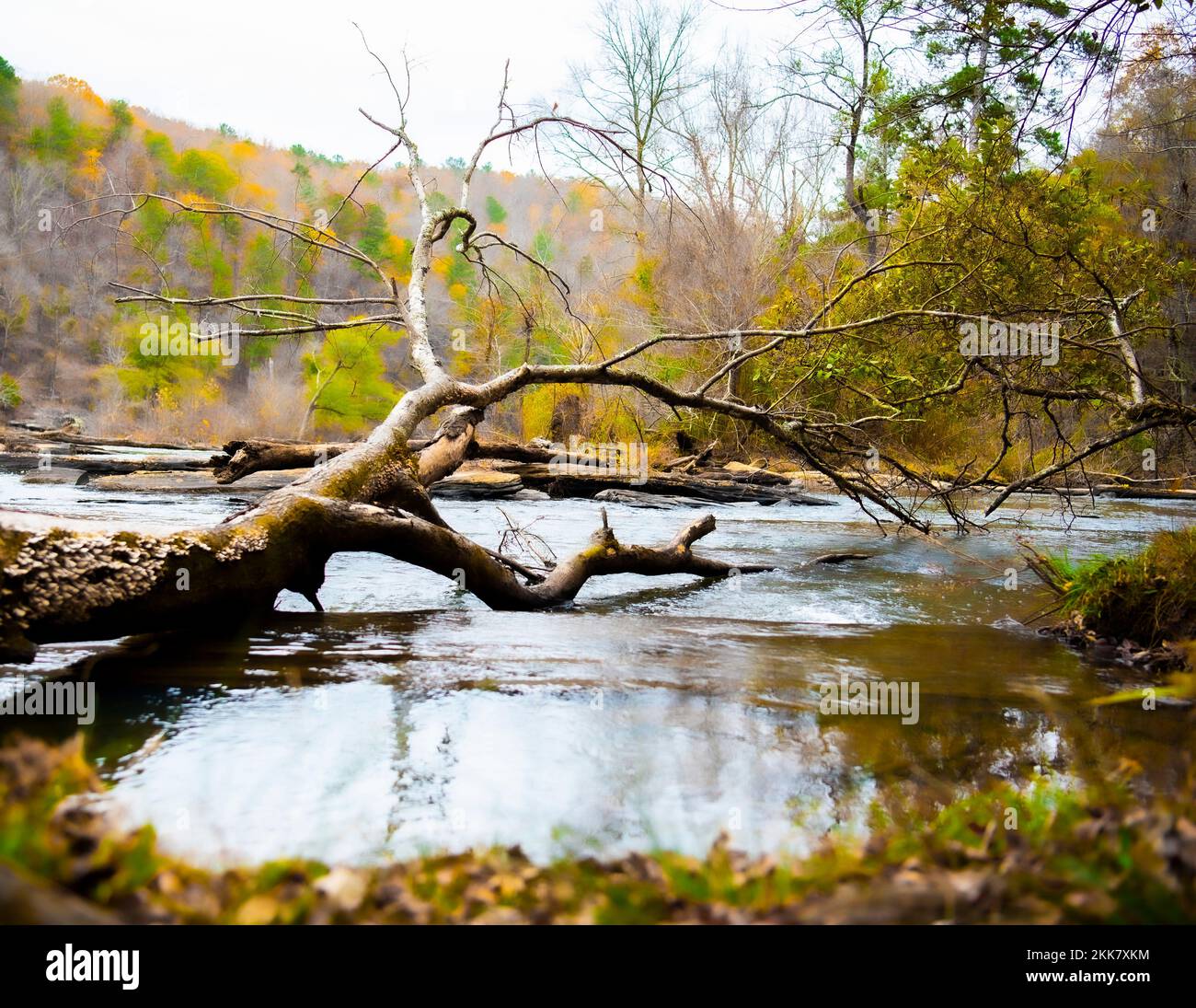 Relax e vibrazioni naturali; natura in autunno; Solstizio d'inverno; ambiente; tranquillo; riflessione; Calma; Serenity Foto Stock