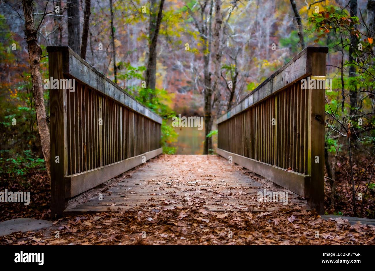 Relax e vibrazioni naturali; natura in autunno; Solstizio d'inverno; ambiente; tranquillo; riflessione; Calma; Serenity Foto Stock