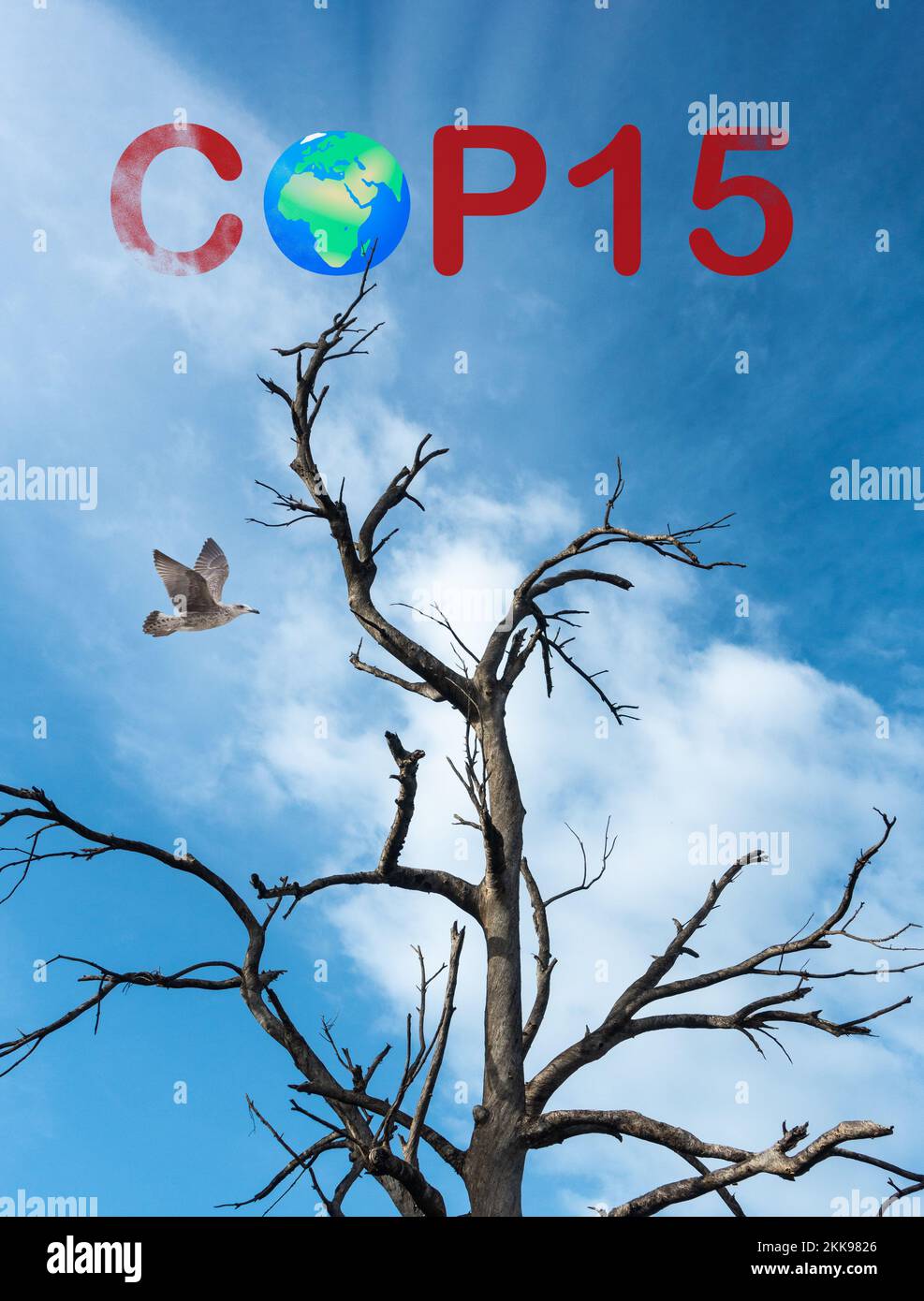 Concetto COP15. Biodiversità, fauna selvatica, in pericolo, habitat... Foto Stock