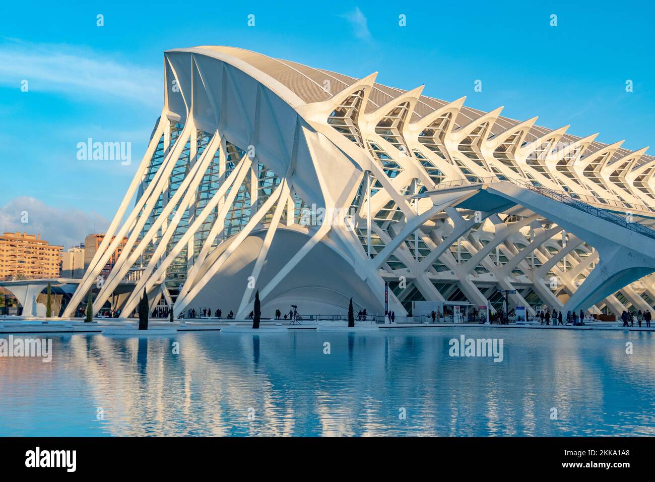 Valencia, Spagna - 4 gennaio 2019: Città moderna punto di riferimento della città di Valencia - il complesso parco Ciudad de las Artes y las Ciencias, Valencia, Spagna Foto Stock