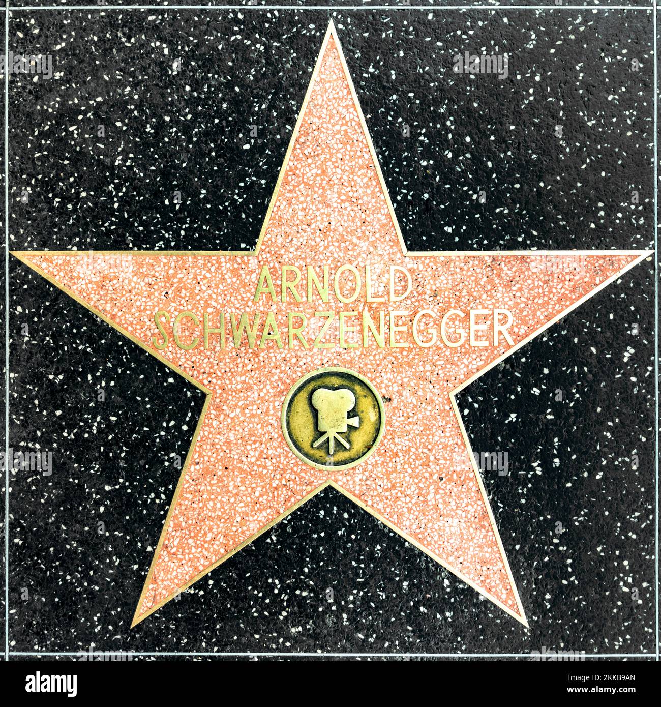 Los Angeles, USA - 17 marzo 2019: Primo piano di Star sulla Hollywood Walk of Fame per Arnold Schwarzenegger. Foto Stock