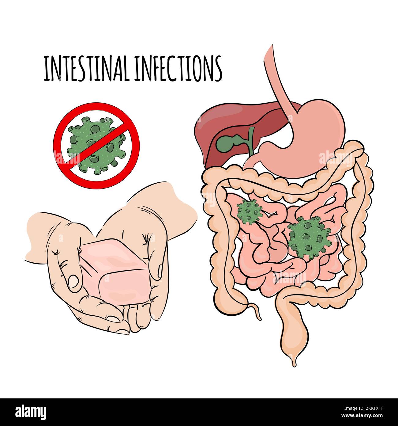 INFEZIONI INTESTINALI prevenzione mani sapone Coronavirus Covid 19 Salute epidemia umana rischio pandemico Medicina Vector Illustration Illustrazione Vettoriale
