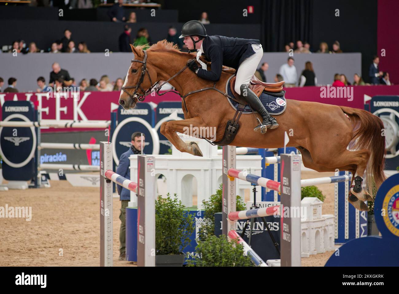 IFEMA, Madrid, Spagna. 25th Nov 2022. Settimana del Cavallo di Madrid 2022, CSI 5*- W - 150 cm, TROFEO CIUDAD DE MADRID. Harry Charles nella foto. Madrid, Spagna. Credit: EnriquePSans/Alamy Live News Foto Stock