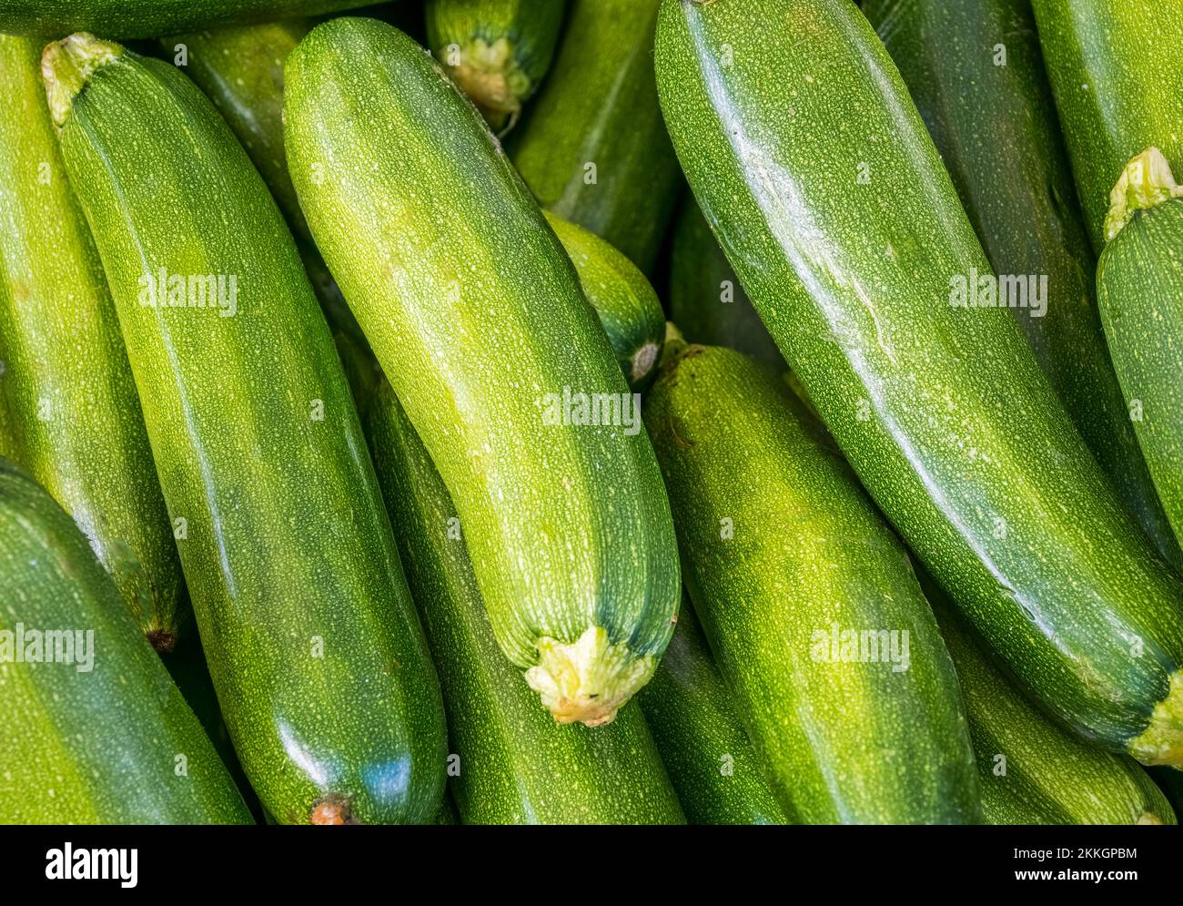 Cetrioli freschi verdi che riempiono il telaio Foto Stock