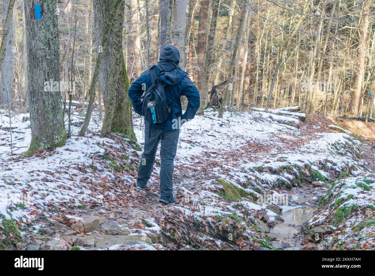 Sentiero escursionistico escursionista attività invernale fredda, sul sentiero, bosco spazio copia sfondi , viaggi turistici esplorativi, gente, giacca invernale Foto Stock