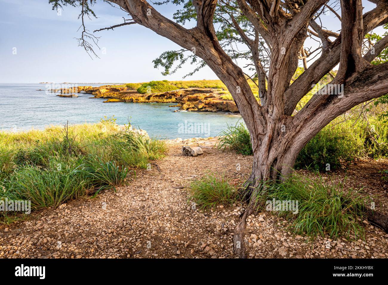 Punta Jaguey sulla punta sud-occidentale dell'isola tropicale dei Caraibi di Puerto Rico, USA. Foto Stock