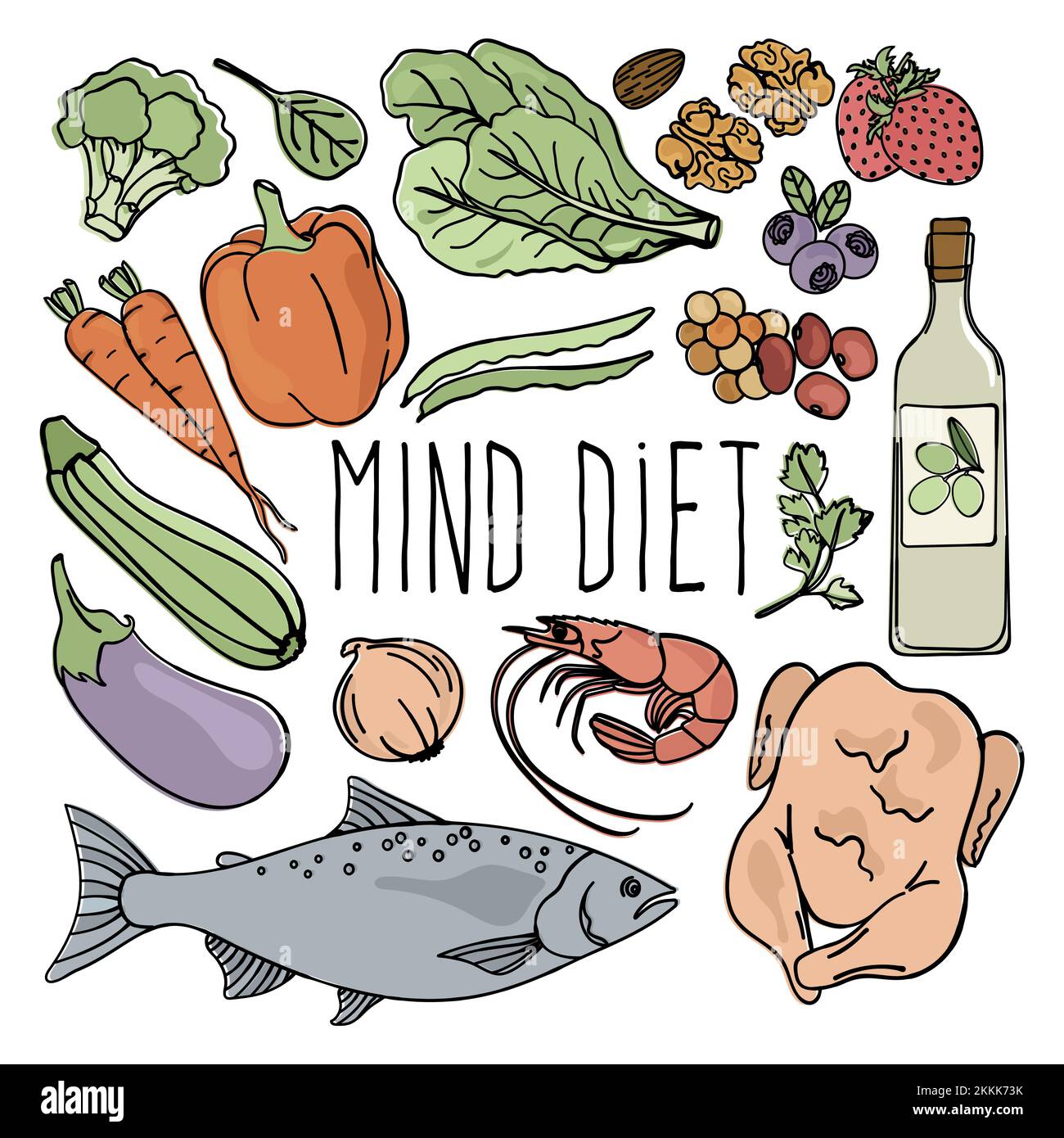 MIND DIET Cartoon cibo sano cervello biologico corretta Nutrizione Medicina clip Art Vector Illustration Set for Print Illustrazione Vettoriale
