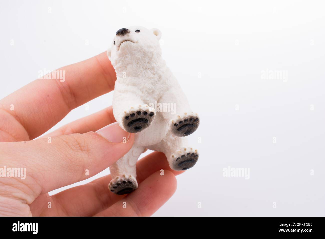 Mano azienda bianco orso polare modello Foto Stock