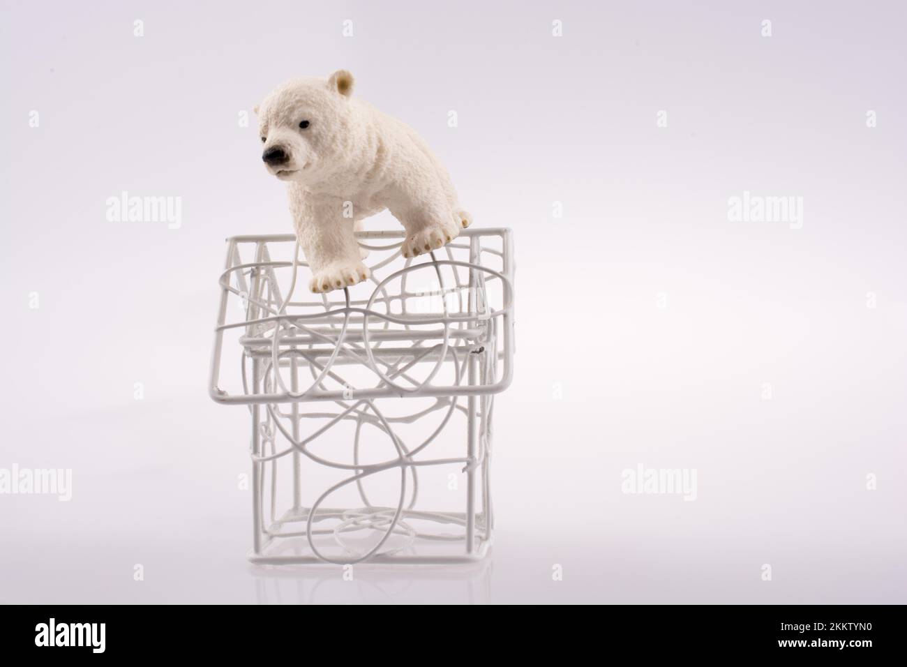 Polar Bear Cub sul tetto di una casa modello mado del tetto Foto Stock