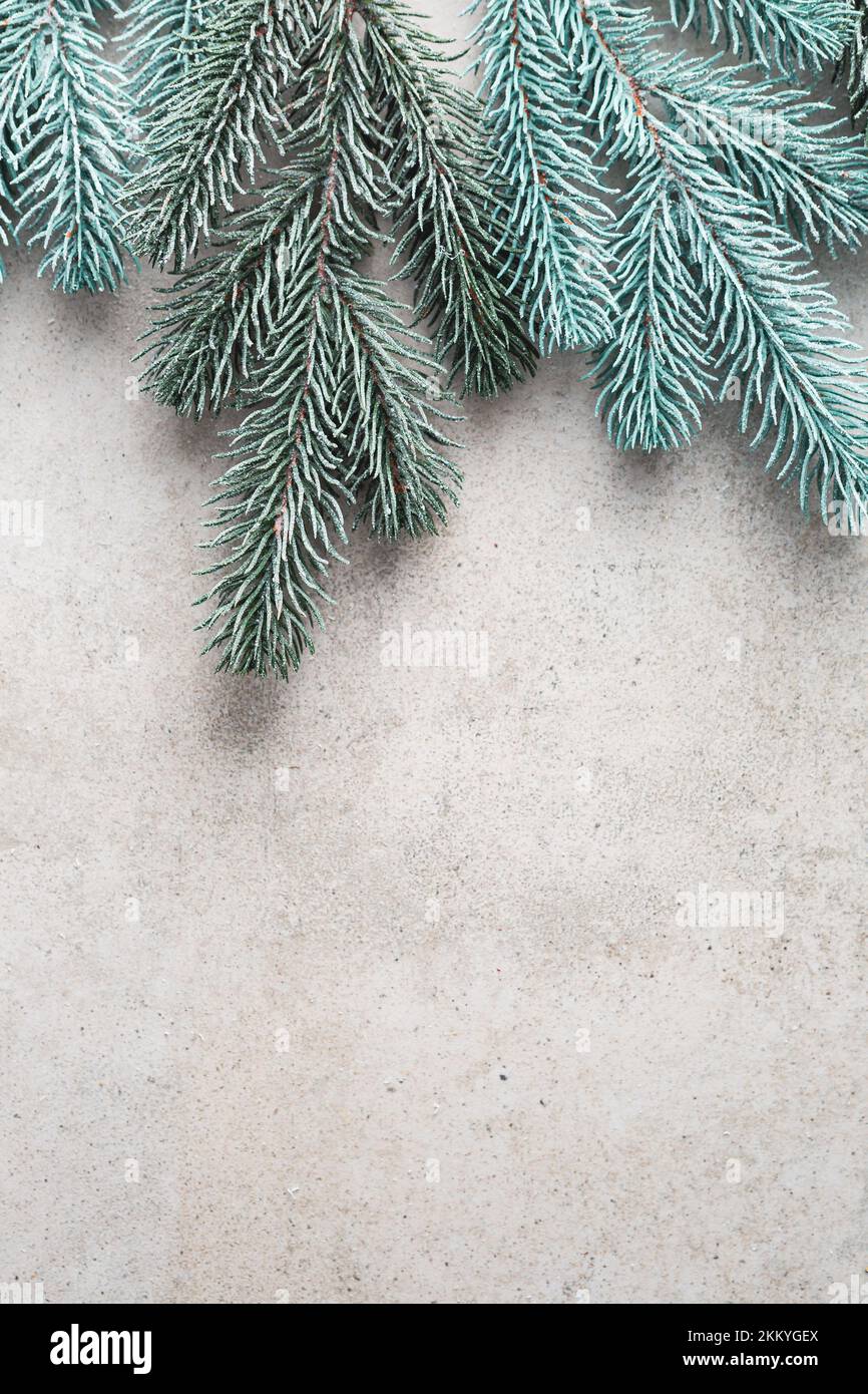 Natale sfondo rami verdi con neve copia spazio vacanza cemento Foto Stock