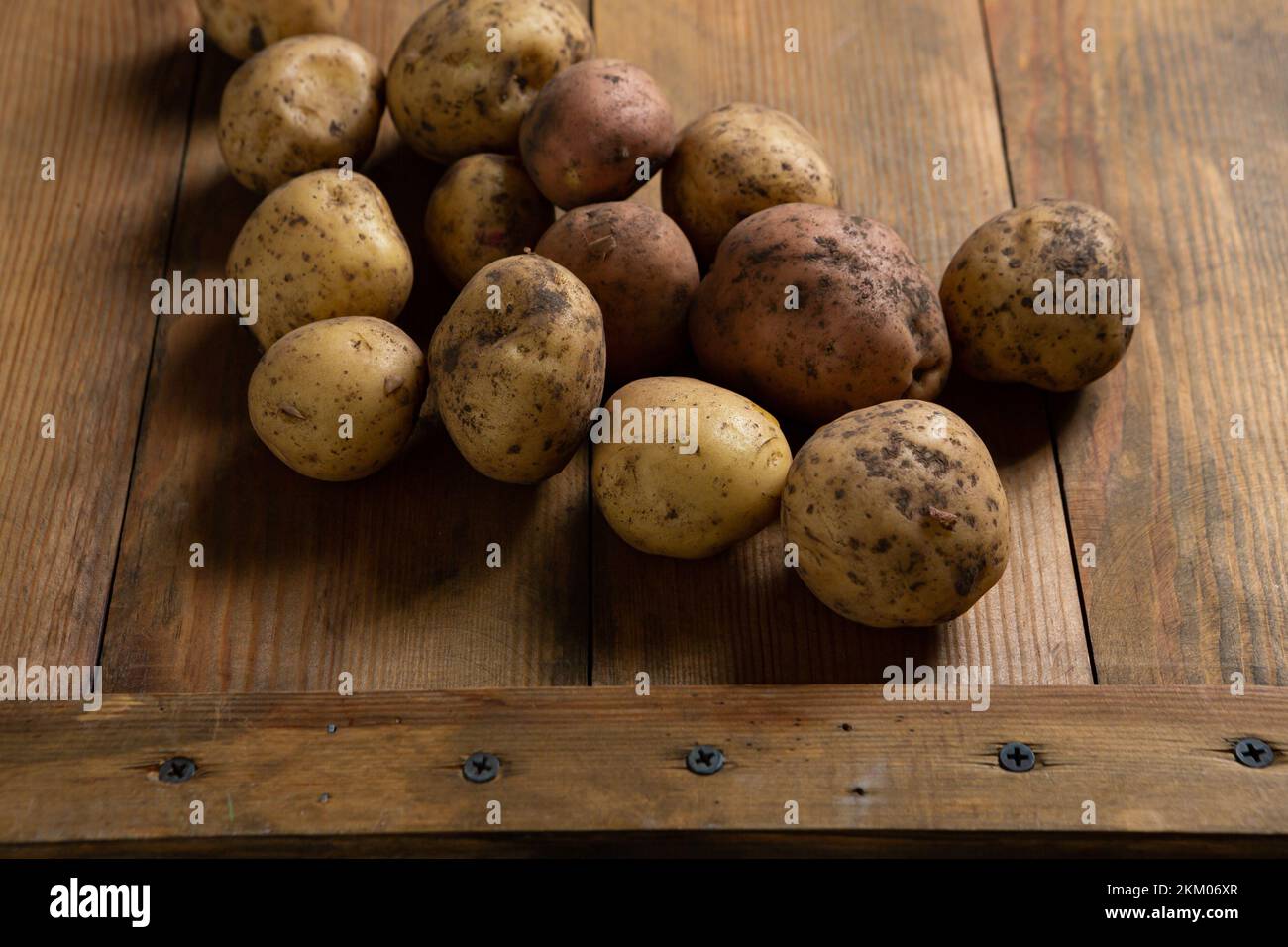 Primo piano della radice di patate crude sul concetto di raccolto di cibo del bordo di legno Foto Stock