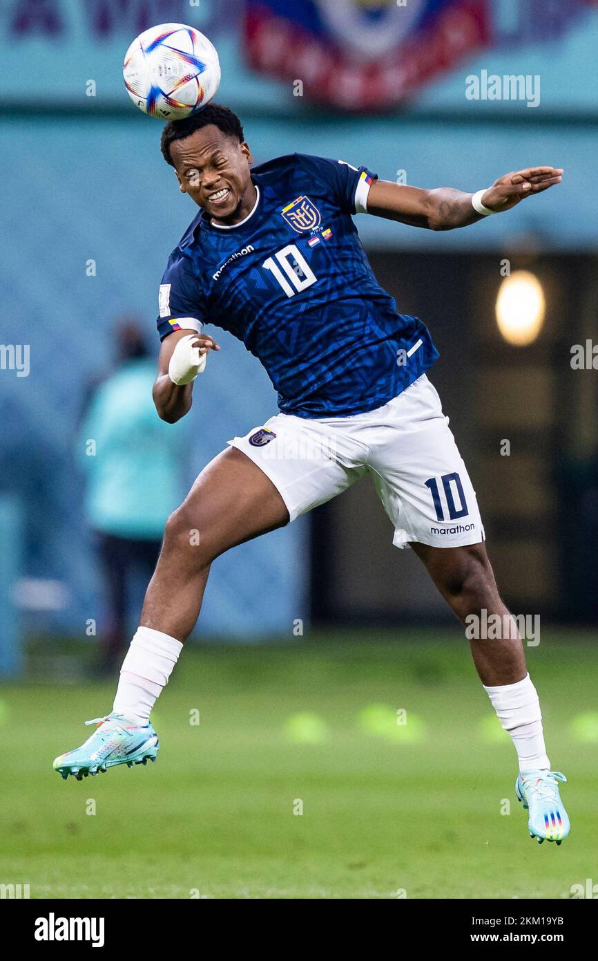 AR Rayyan, Qatar. 25th Nov 2022. Calcio: Coppa del mondo, Paesi Bassi - Ecuador, turno preliminare, Gruppo A, Giornata 2, Chalifa International Stadium, il Romario Ibarra dell'Ecuador in azione. Credit: Tom Weller/dpa/Alamy Live News Foto Stock