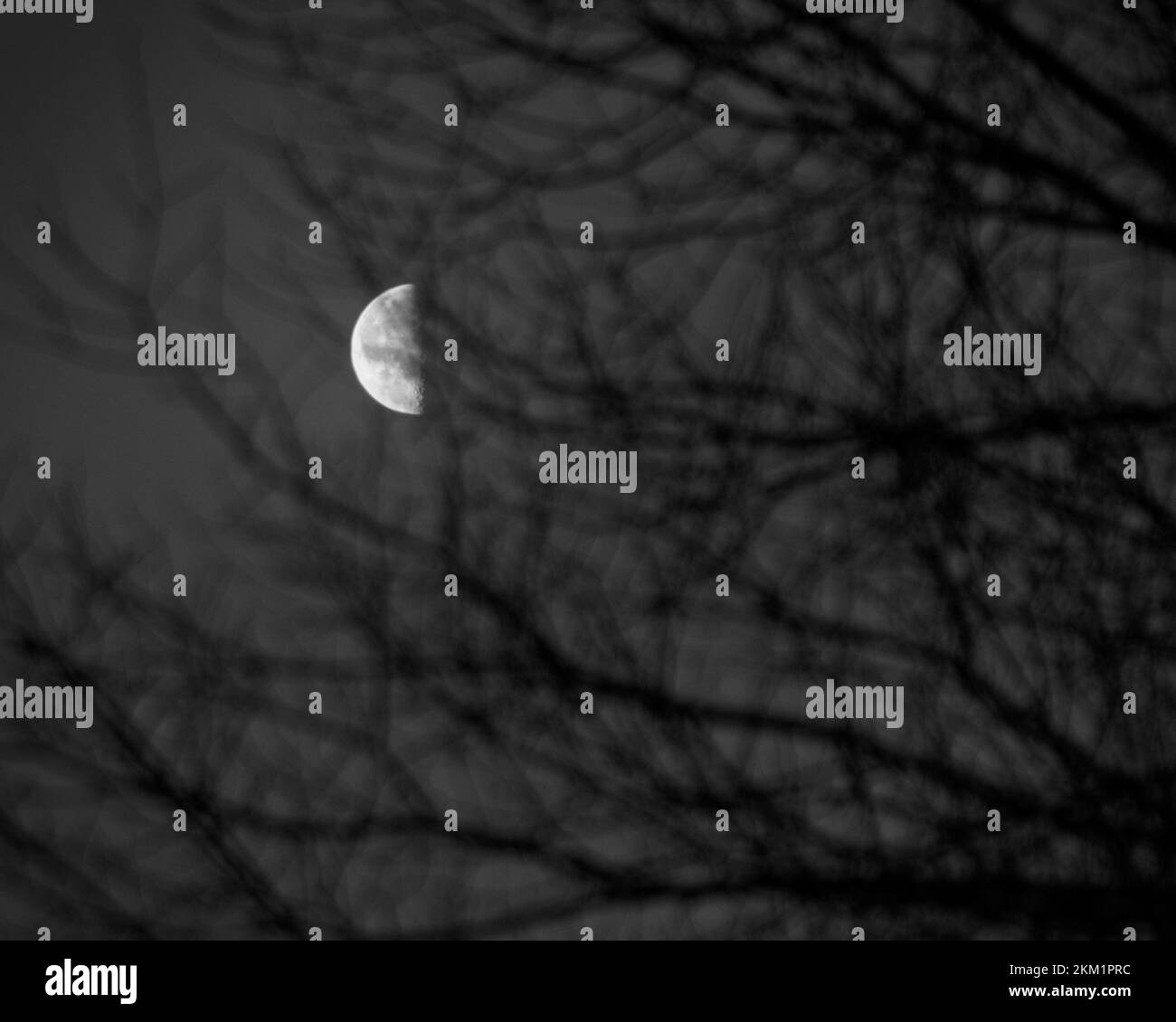 luna nello sfondo del cielo crepuscolo. luna mezza luminosa. Foto Stock