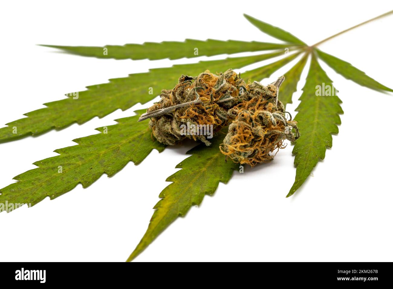 Foglia di cannabis con fiore essiccato Foto Stock