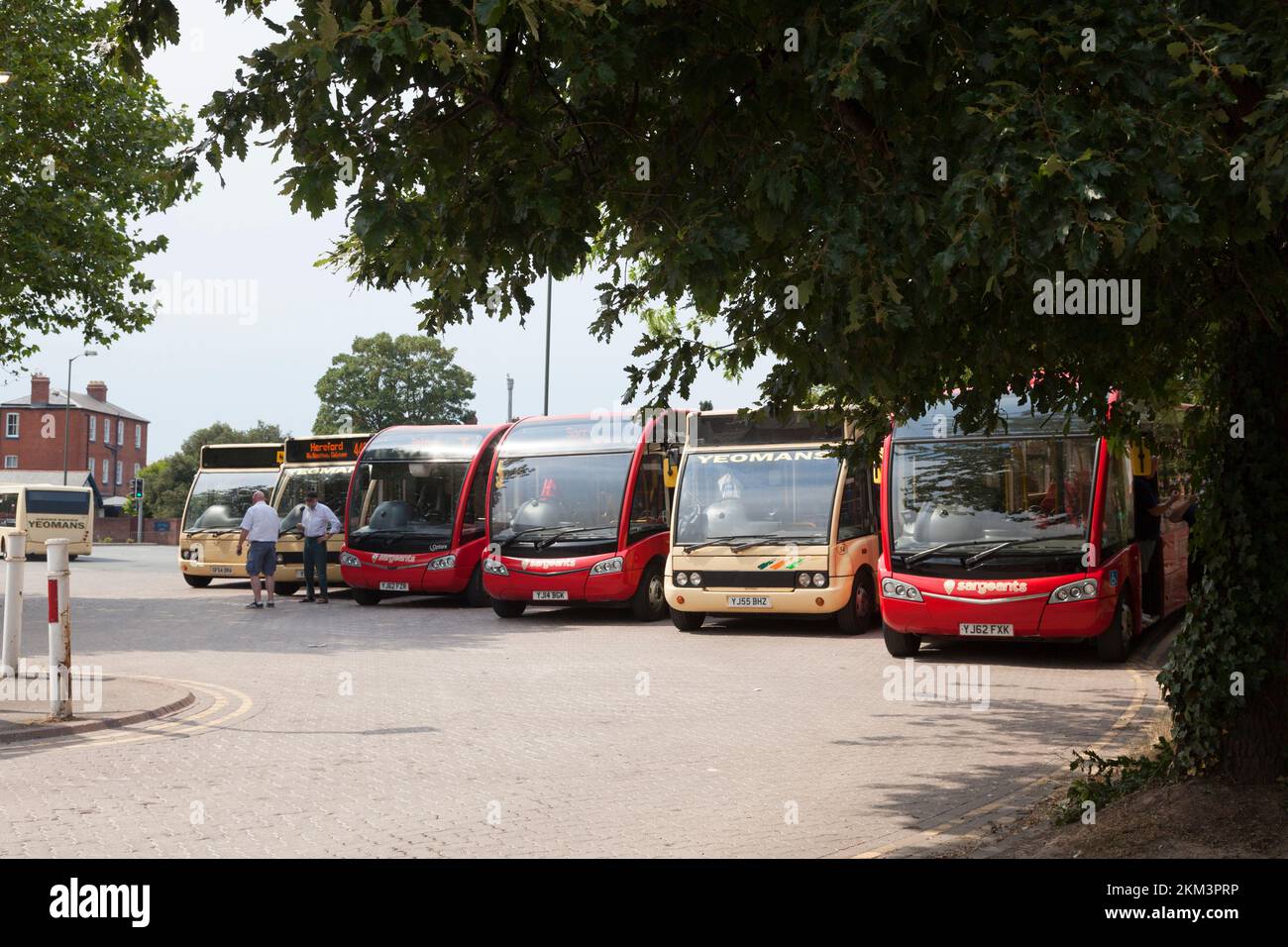 Autobus locali nella stazione degli autobus, Hereford, Herefordshire Foto Stock