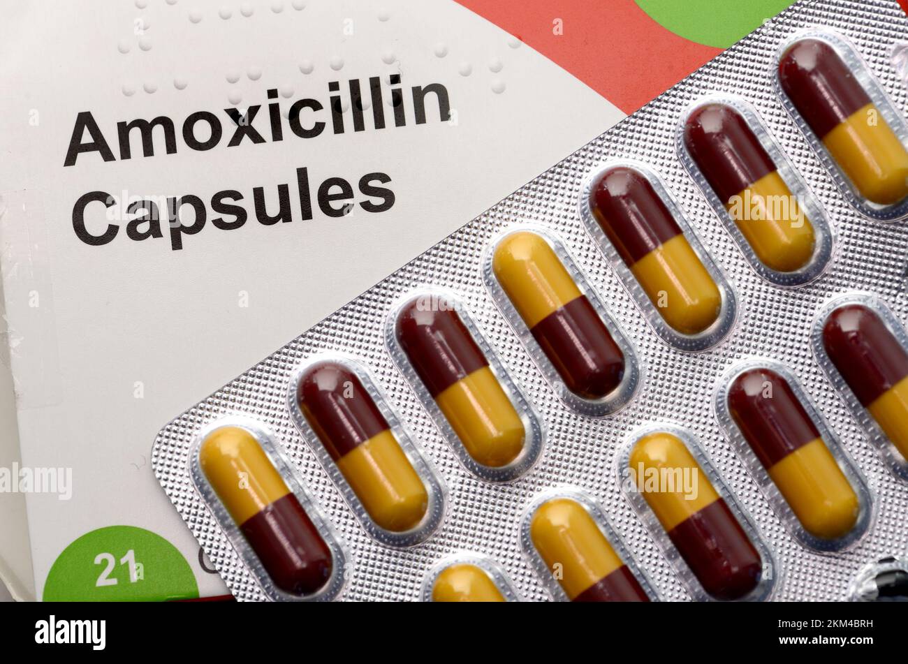 Amoxicillin capsule - antibiotico a base di penicilina per il trattamento delle infezioni Foto Stock