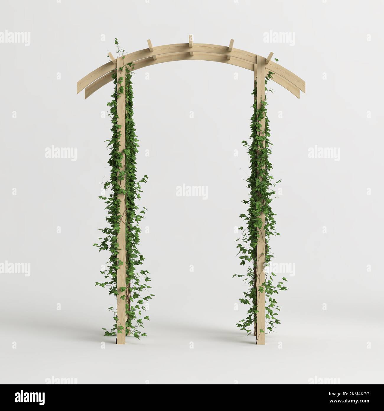 3d illustrazione di edera ad arco in legno isolata su sfondo bianco Foto Stock
