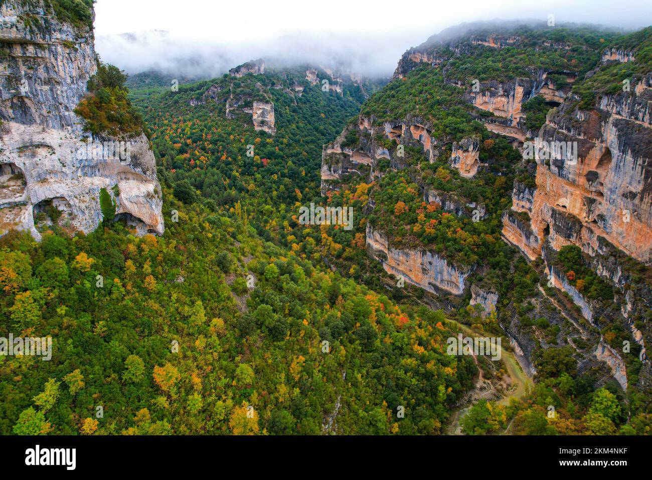 Vista aerea delle foglie che cambiano i colori nelle montagne dei pirenei Foto Stock