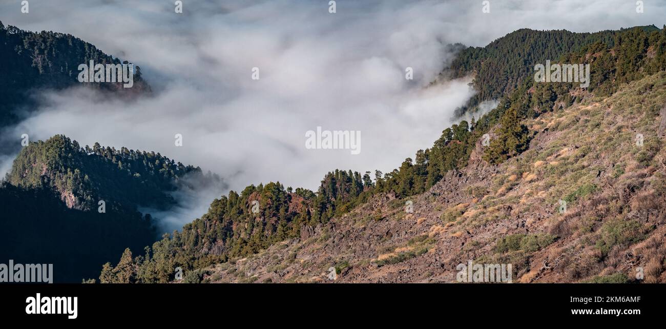 Mare di nuvole sul canyon dell'isola di la Palma Foto Stock